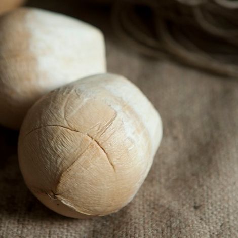 NC COCONUT CO., LTD.