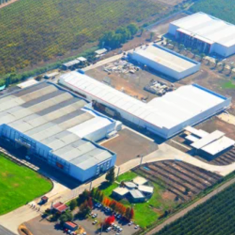 Dole Plant