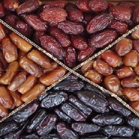 Canampak Dates Industry