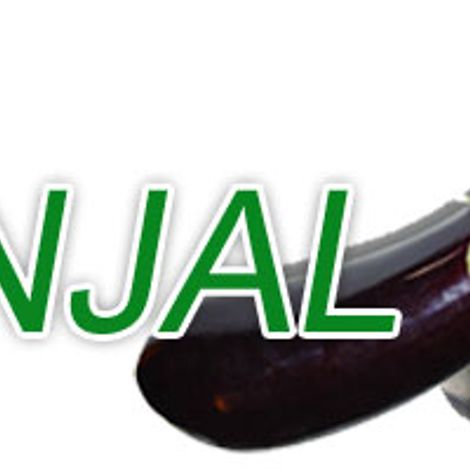 All Pakistan Fruit & Vegetable Exporters, Importers & Merchants Association (PFVA)