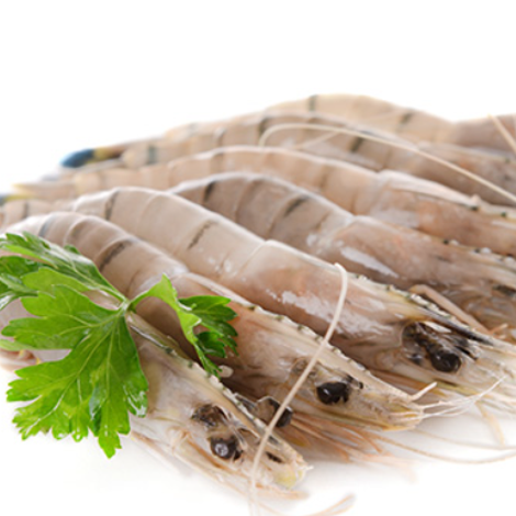 Nekkanti Sea Foods Ltd