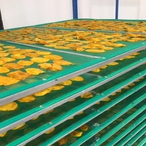 Production