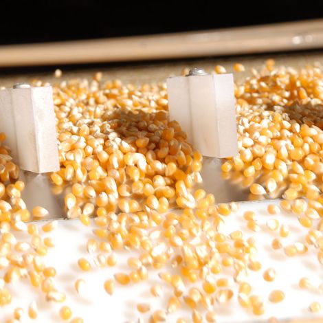 SNACK CROPS S.A - Products