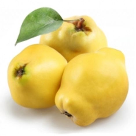 AGGELOS MICHALCZEWSKA DOROTA-BARBARA