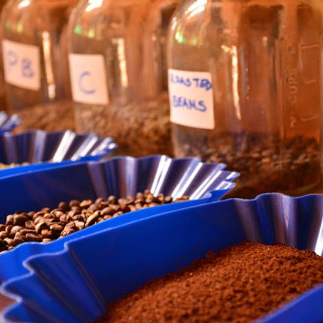 Fairview Coffee Estate