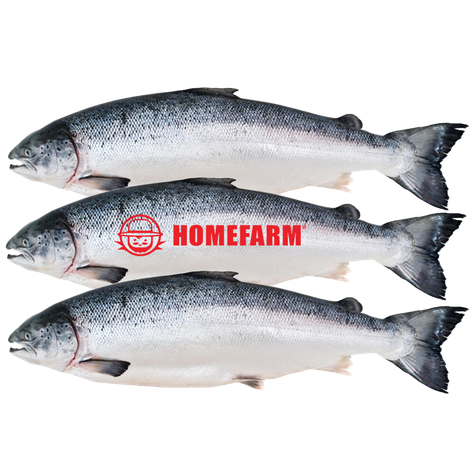 Homefarm International Joint Stock Company