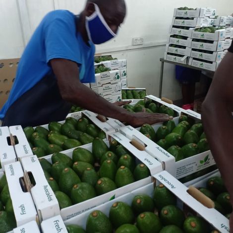 WhatsApp Image 2020-05-15 at 19.30.16.jpeg