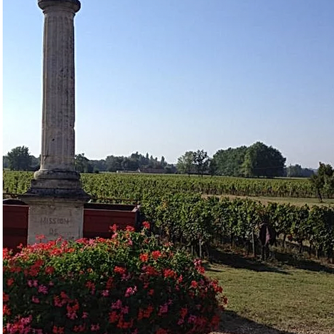 Chateau Guerin Bellevue