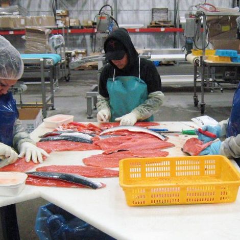 NOVA Fisheries