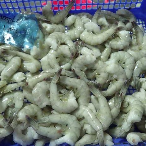 [PT. Indu Manis]_[Frozen Raw Vannamei]_[HLSO Deglazed]