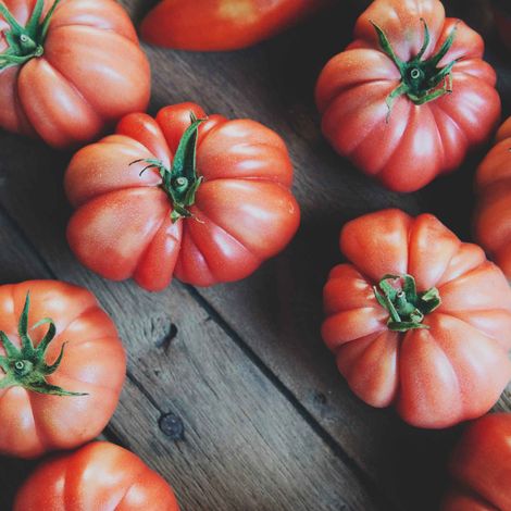 tomate-monterosa-1.jpg