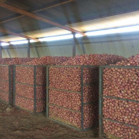 Onions Storage