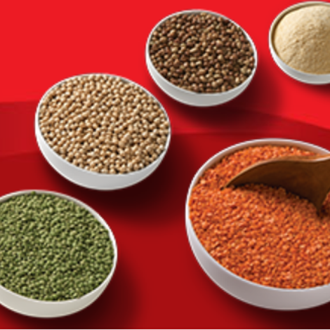 AGT Foods - IN