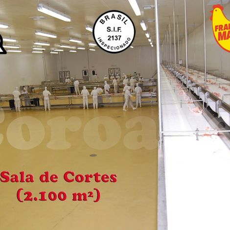 Abatedouro Coroaves - Chicken Meat Packaging