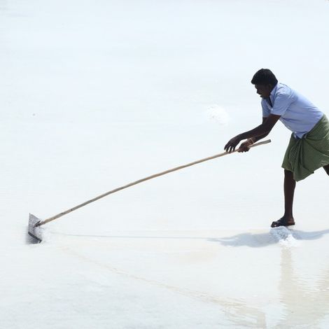 Sea Salt cultivation