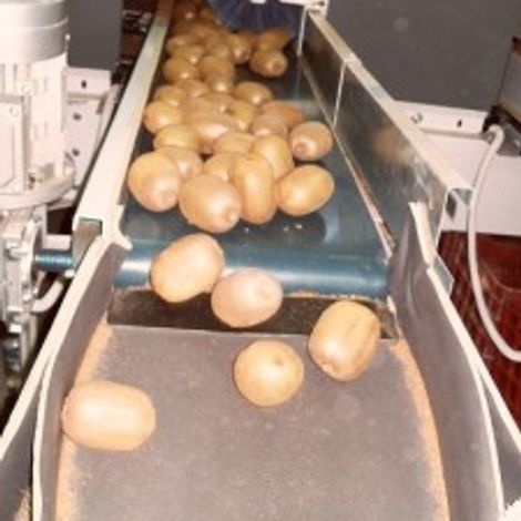 AGRICULTURAL COOP. OF ASSOS - Production