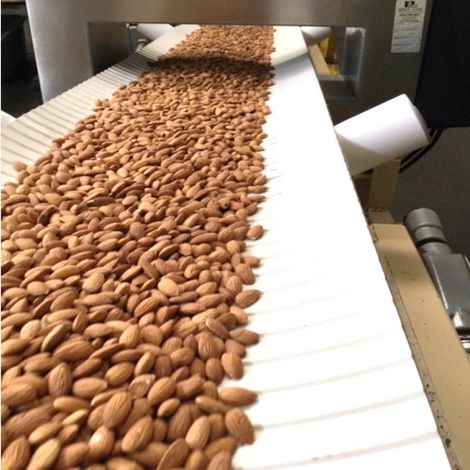 EIE_Almond_NPX_Processingline
