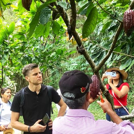 ASOCIACION NACIONAL CACAOTERA DE COLOMBIA