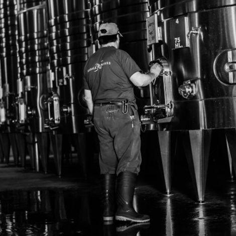 Marale Wines