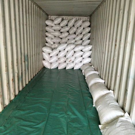 Seeds World to over the world 🌎