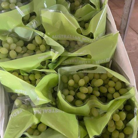 Valley Fresh Exports_Thompson_18mm