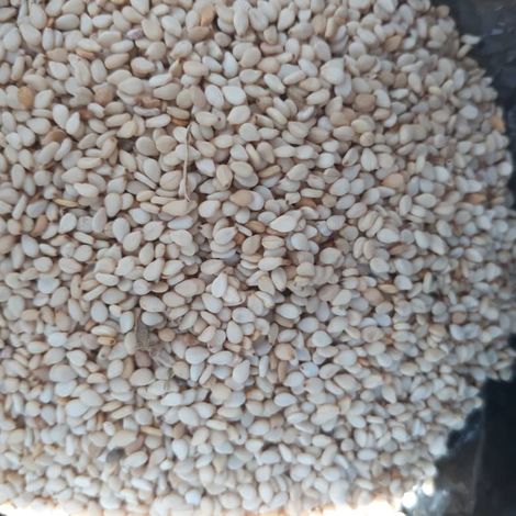 white sesame