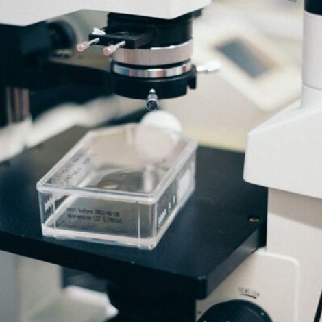 Cyamopsis Biotech (India) Pvt. Ltd