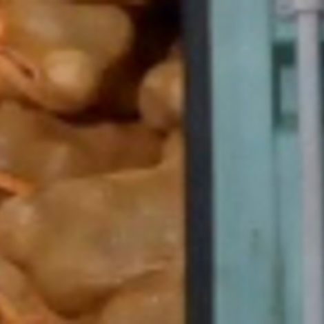 CV. Central Agro Indonesia - Packaged Coconuts