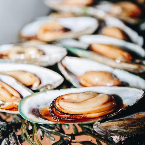 Guyton Fisheries Limited - Oysters