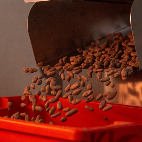 Martinetti Cocoa - Patrimonio Cacao - Production