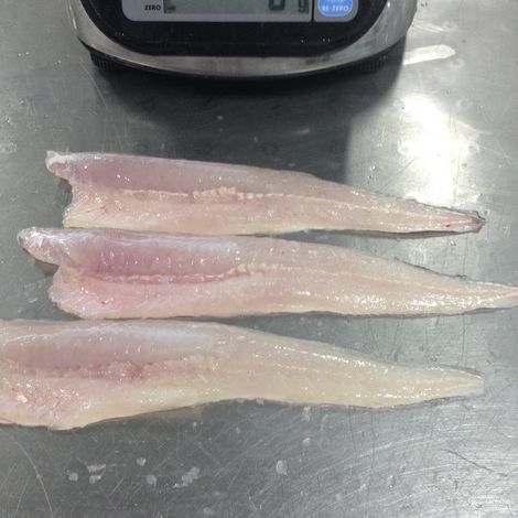 hake fillet skinless