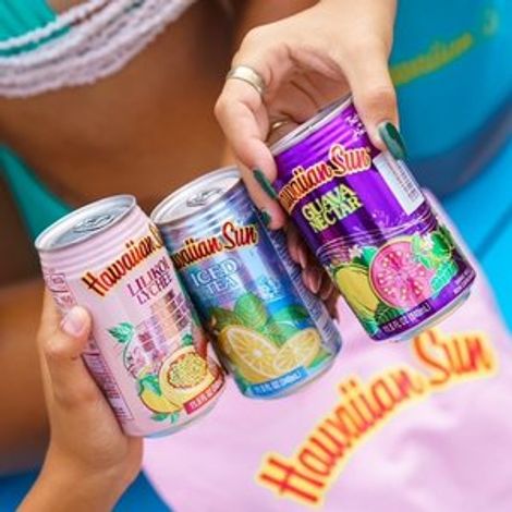 Hawaiian Sun Products, Inc.