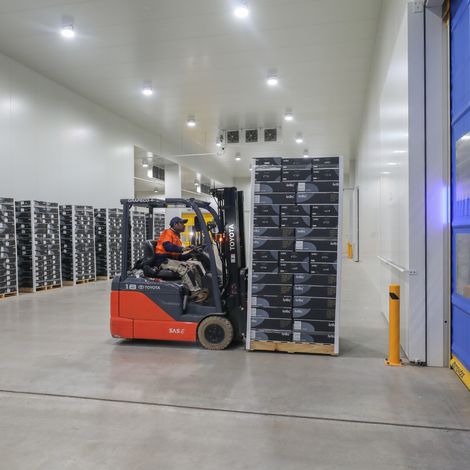 Grape Co Australia Pty Ltd - Cold Storage Facility