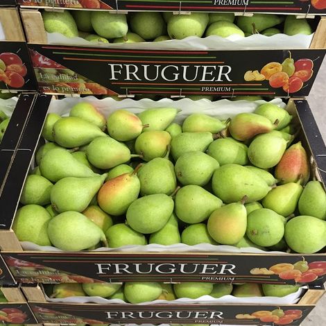 FRUGUER S.L.