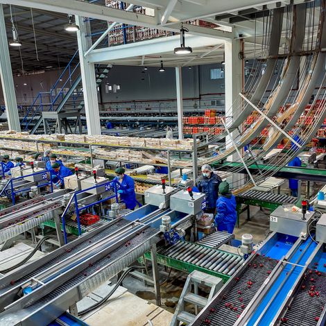 Exportadora Prize LTDA - Facility