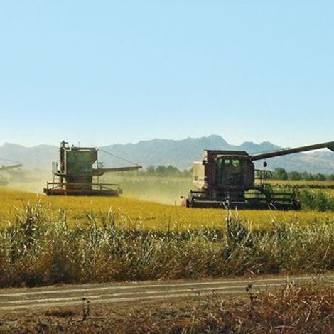 American Commodity Company, LLC - Plantation