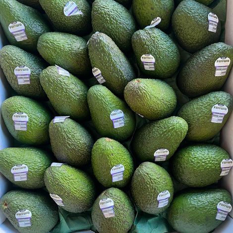 Australian Hass Avocados
