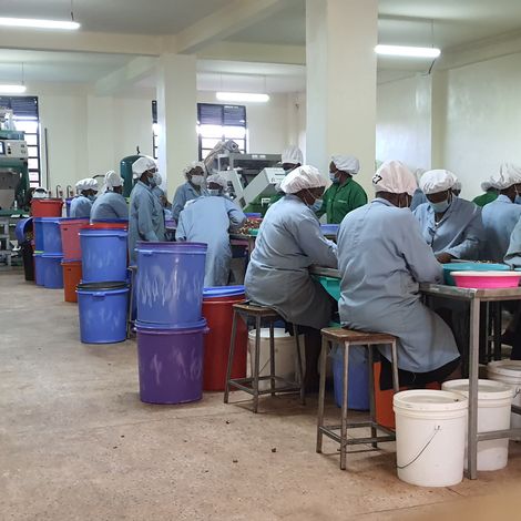 Superfine Africa Nuts Factory