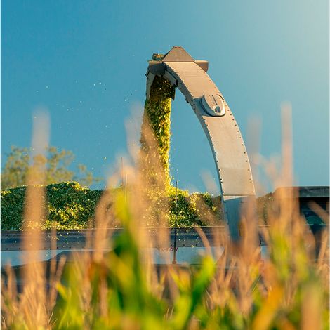 Nutritech International Ltd