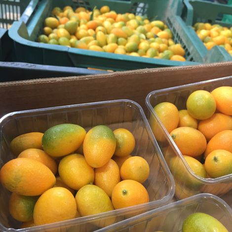 Natural Tropic_Kumquat