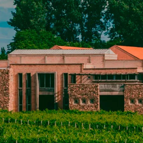 Bodegas Bianchi