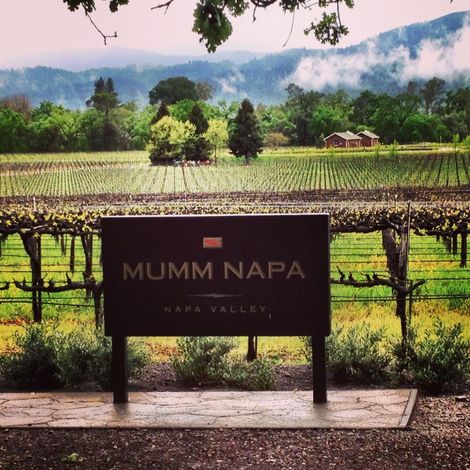 Mumm Napa