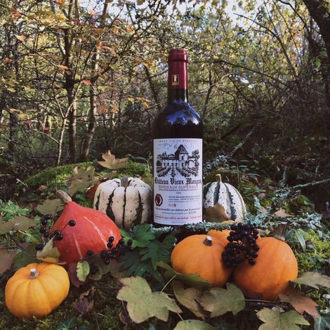 Château Vieux Mougnac