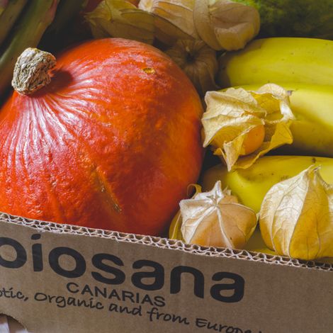sobre-biosana.jpg
