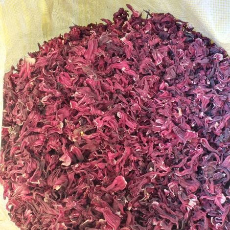 Hibiscus Flowers Sudan Origin