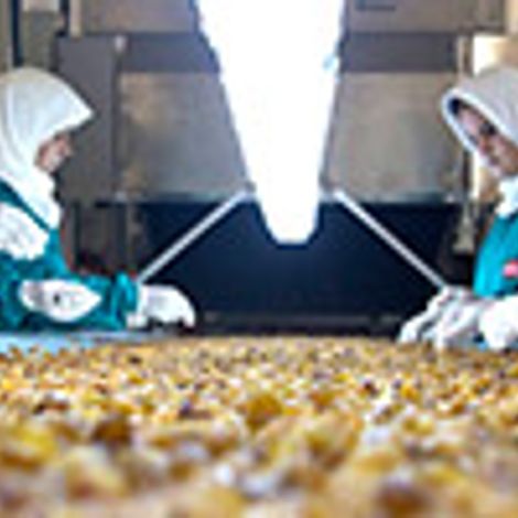 Cancilar Food Ltd. Sti.