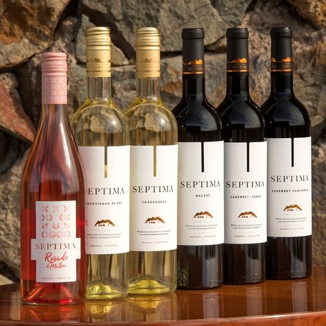 Bodega Septima - Wines