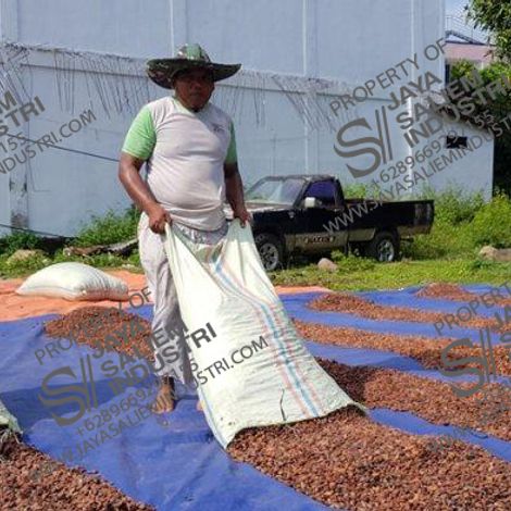 Drying Process