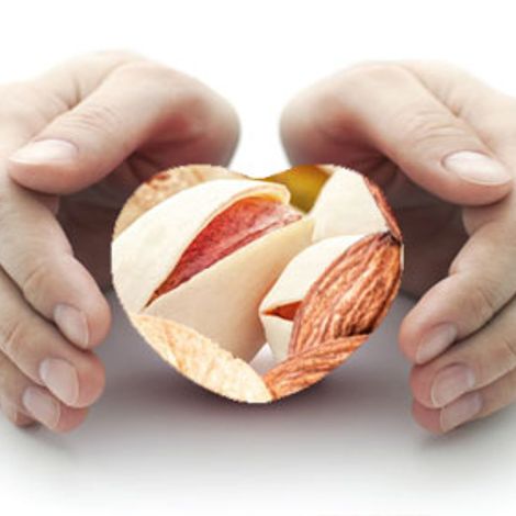 PREMIER FRUIT & NUT LTD