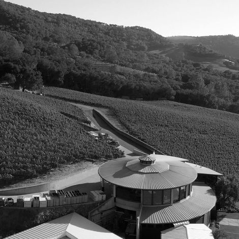 Bryant Estate Vineyard